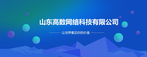 山东高数网络科技